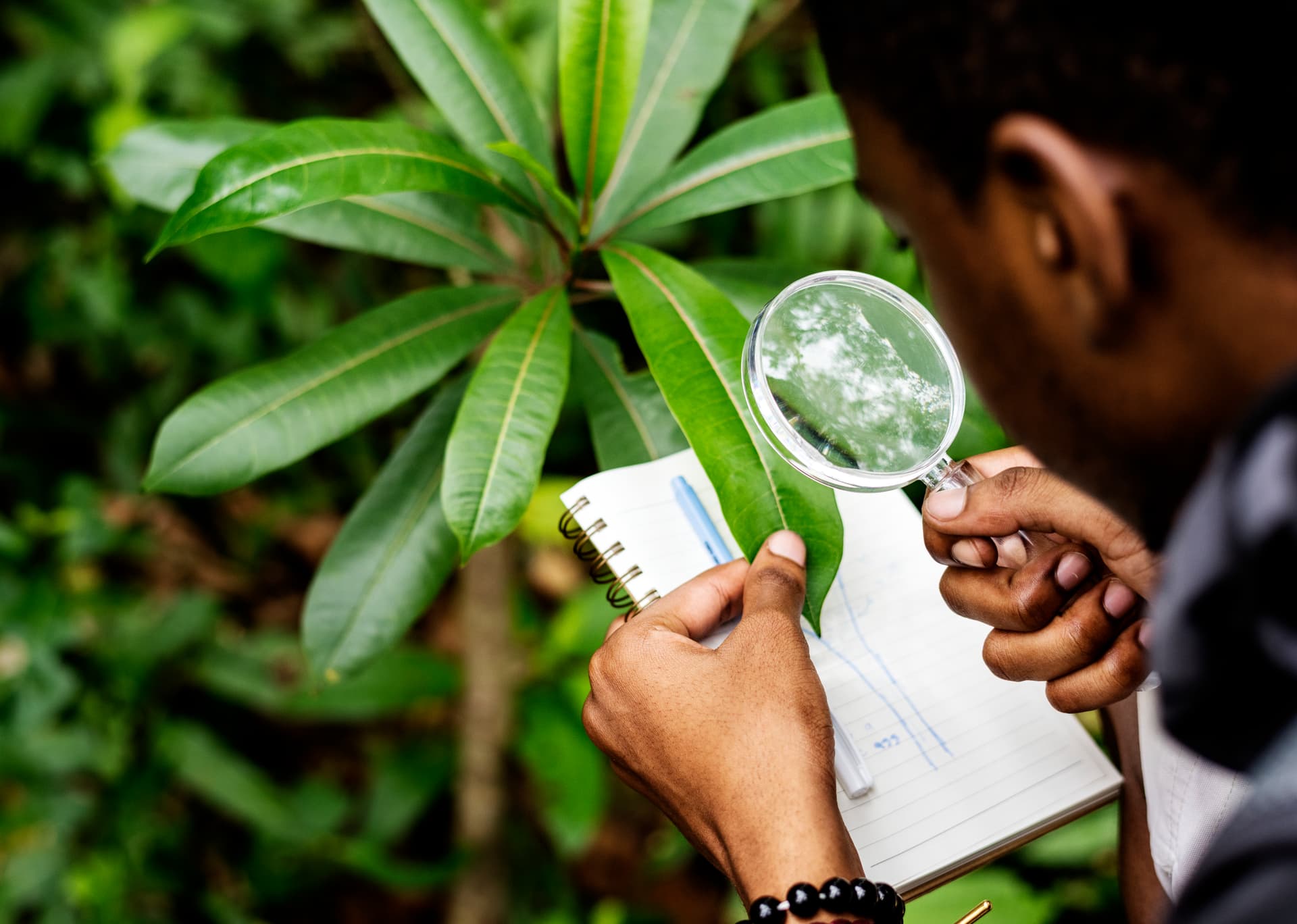 Etude d'impact environnemental